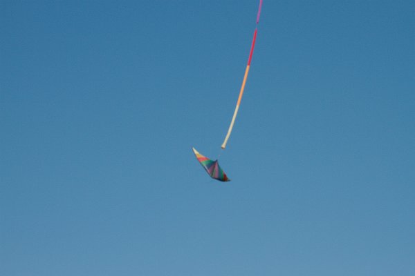 IMG 7785