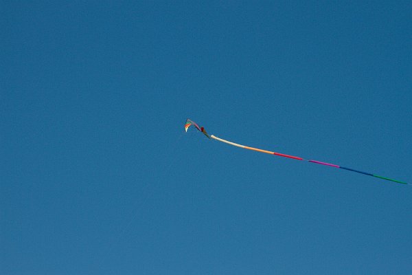 IMG 7800