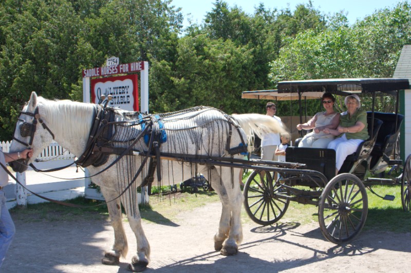 Granny and Sandra getting ready to drive the 4 person surrey.