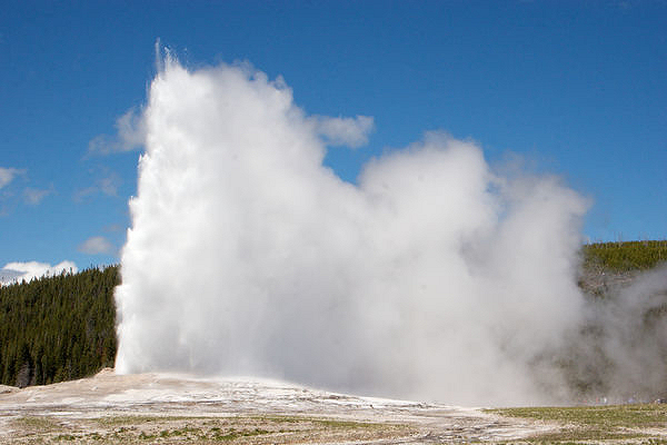 Old Faithful at full steam