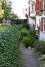 Filename=IMG_0318.jpg
Filesize=479KiB
Dimensions=400x600
Date added=Mar 14, 2009 IMG_0318.jpg