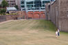 Filename=IMG_0765.jpg
Filesize=668KiB
Dimensions=800x533
Date added=Mar 14, 2009 IMG_0765.jpg