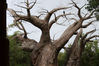 Filename=IMG_5559.jpg
Filesize=1205KiB
Dimensions=1024x683
Date added=Aug 25, 2012 IMG_5559.jpg
