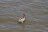 Filename=IMG_6094.jpg
Filesize=951KiB
Dimensions=1024x683
Date added=Aug 25, 2012 IMG_6094.jpg