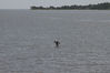 Filename=IMG_6210.jpg
Filesize=1161KiB
Dimensions=1024x683
Date added=Aug 25, 2012 IMG_6210.jpg