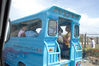 Filename=IMG_8926.jpg
Filesize=3153KiB
Dimensions=2250x1500
Date added=May 29, 2011 IMG_8926.jpg