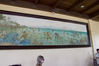 Filename=IMG_8941.jpg
Filesize=3329KiB
Dimensions=2250x1500
Date added=May 29, 2011 IMG_8941.jpg