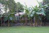 Filename=IMG_9035.jpg
Filesize=742KiB
Dimensions=800x533
Date added=May 29, 2011 IMG_9035.jpg